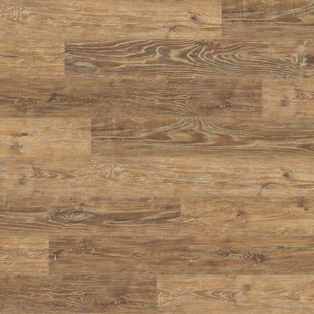 Imperial Oak